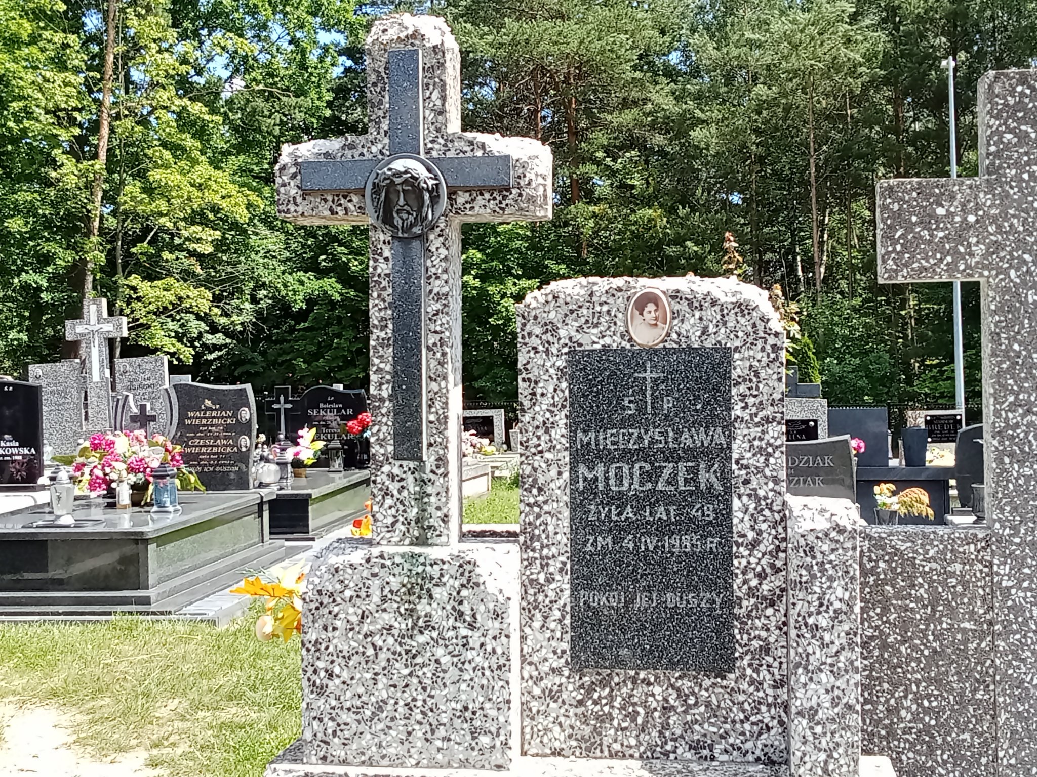 Mieczysława Mroczek Mrozy - Grobonet - Wyszukiwarka osób pochowanych