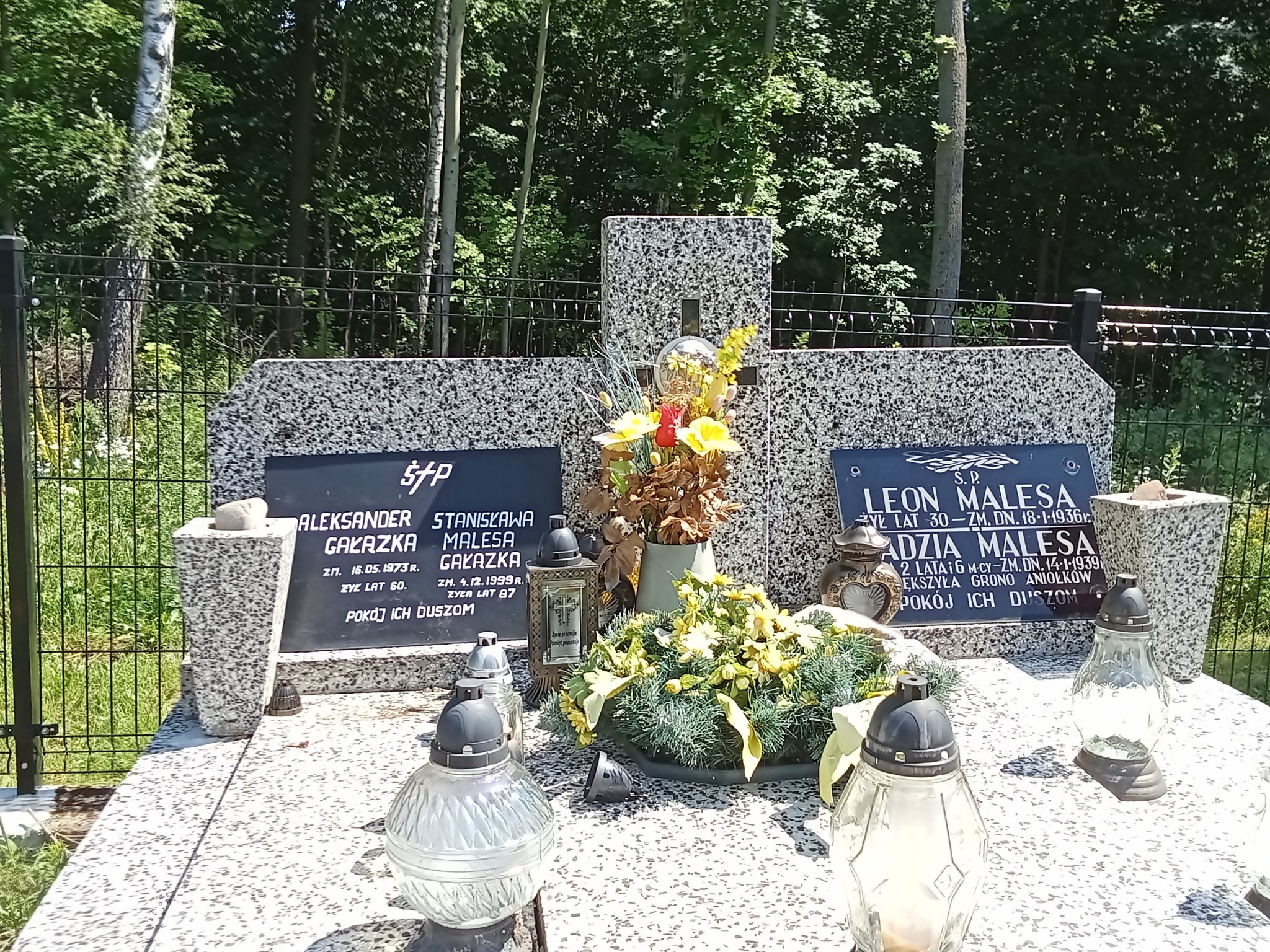 Mikołaj Aleksander Gałązka Mrozy - Grobonet - Wyszukiwarka osób pochowanych