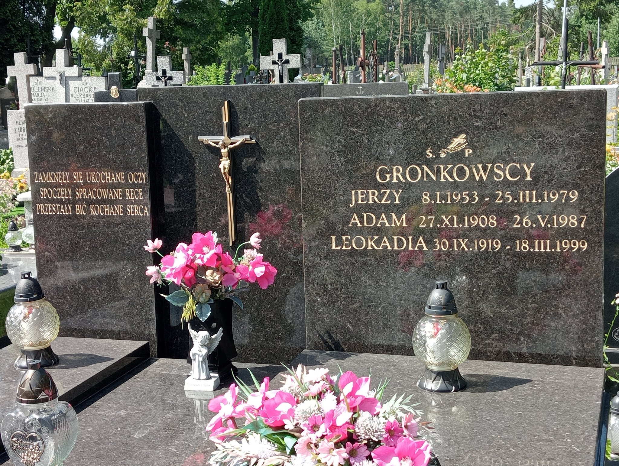 Adam Gronowski Mrozy - Grobonet - Wyszukiwarka osób pochowanych