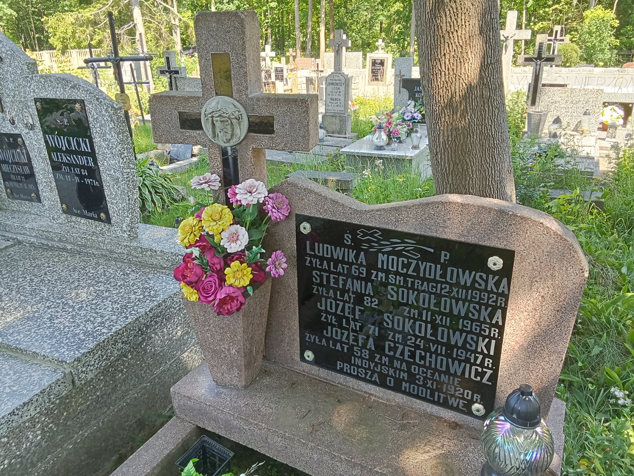 Józefa Czechowicz Mrozy - Grobonet - Wyszukiwarka osób pochowanych