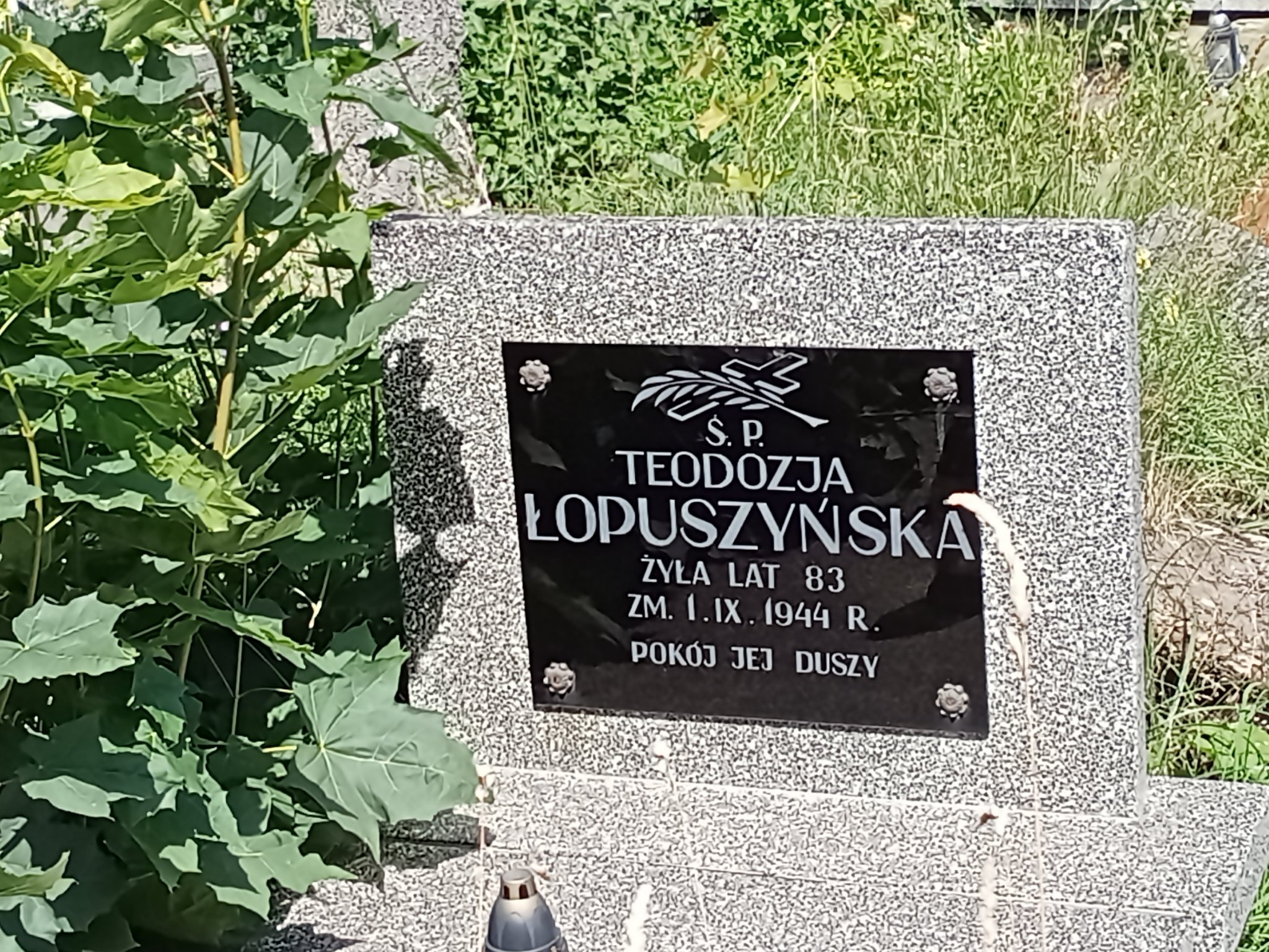 Zdjęcie grobu