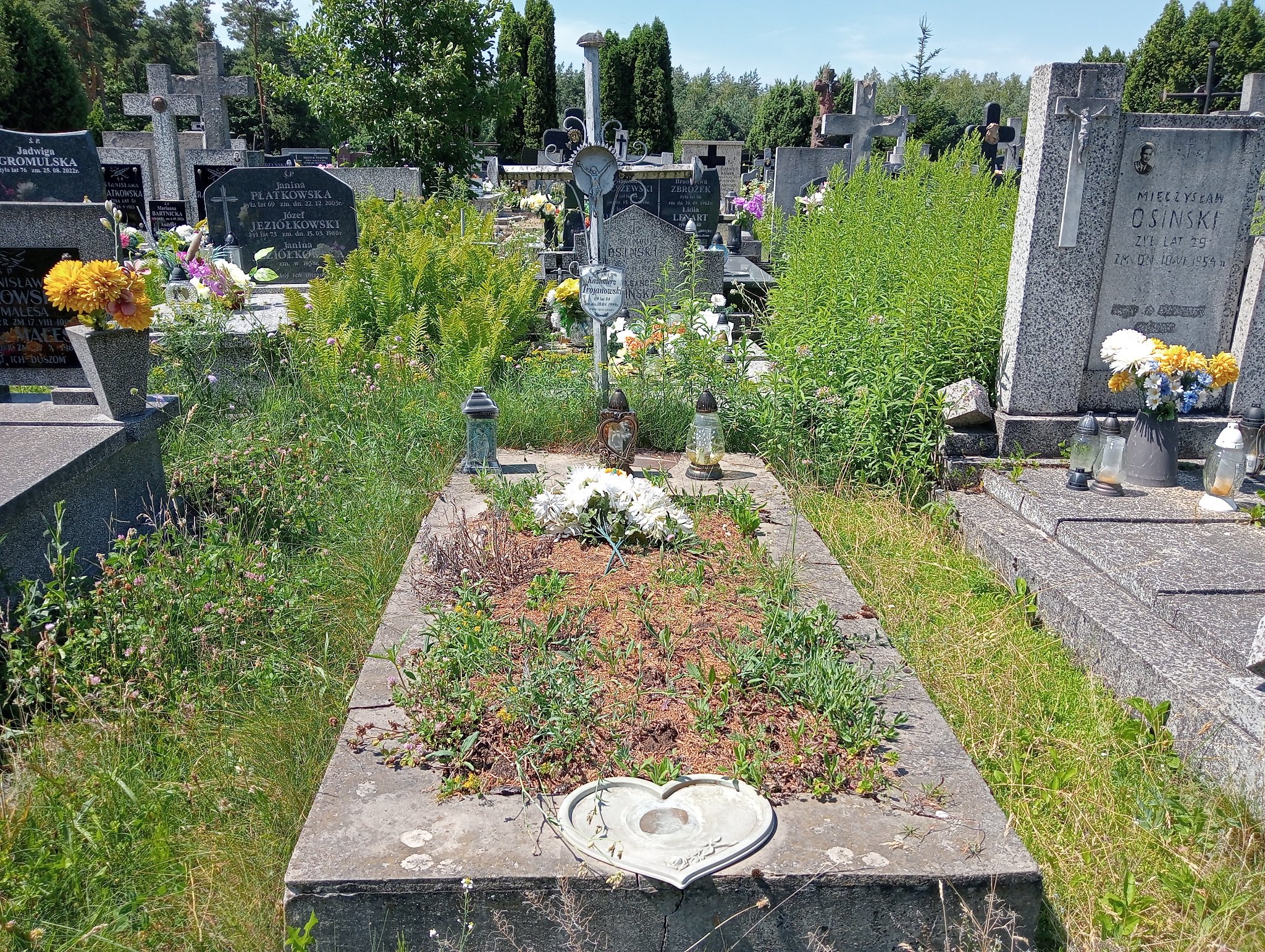 Grób Kazimierz Trojanowski