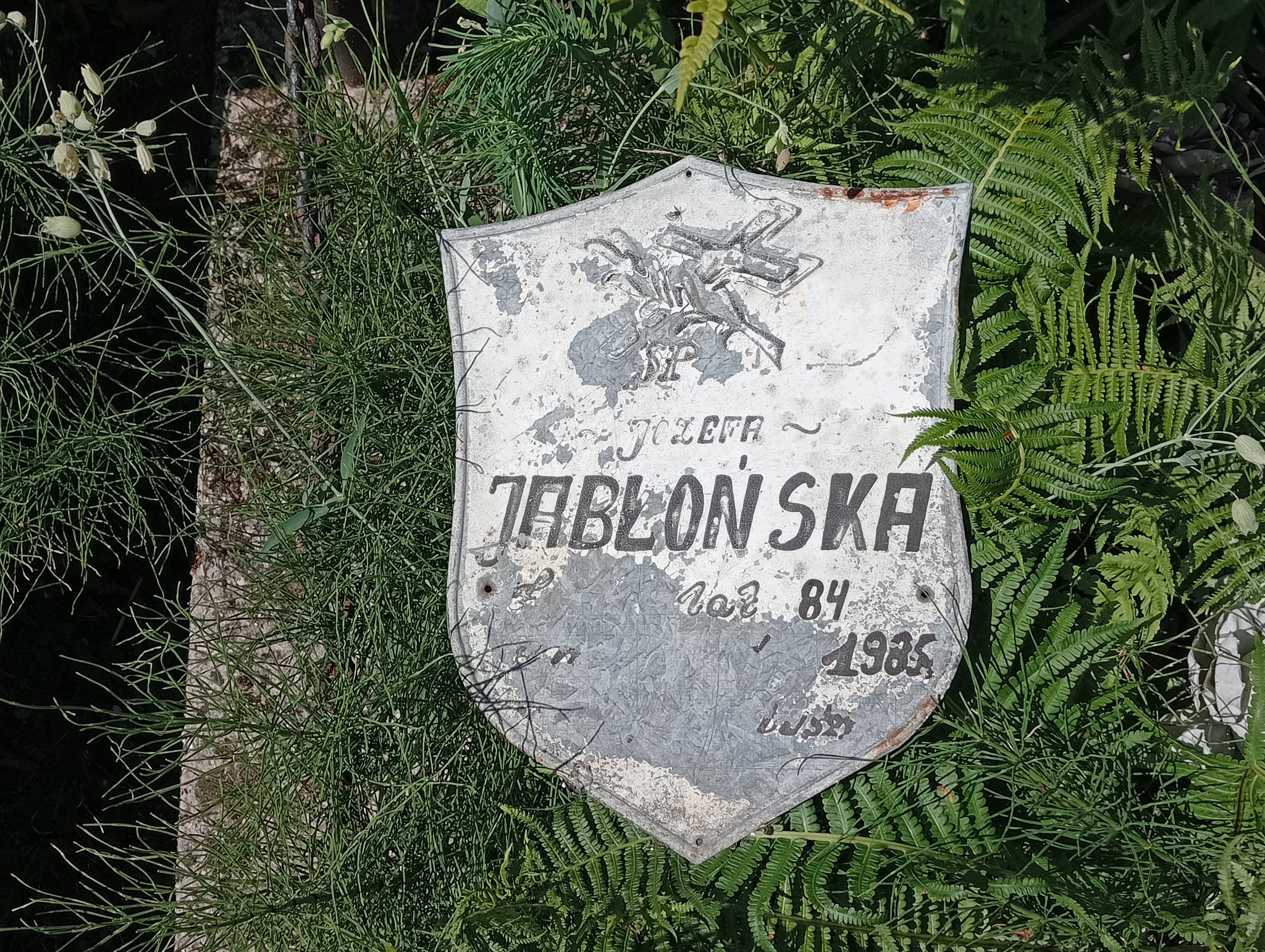 Przemysław Jabłoński 1955 Mrozy - Grobonet - Wyszukiwarka osób pochowanych