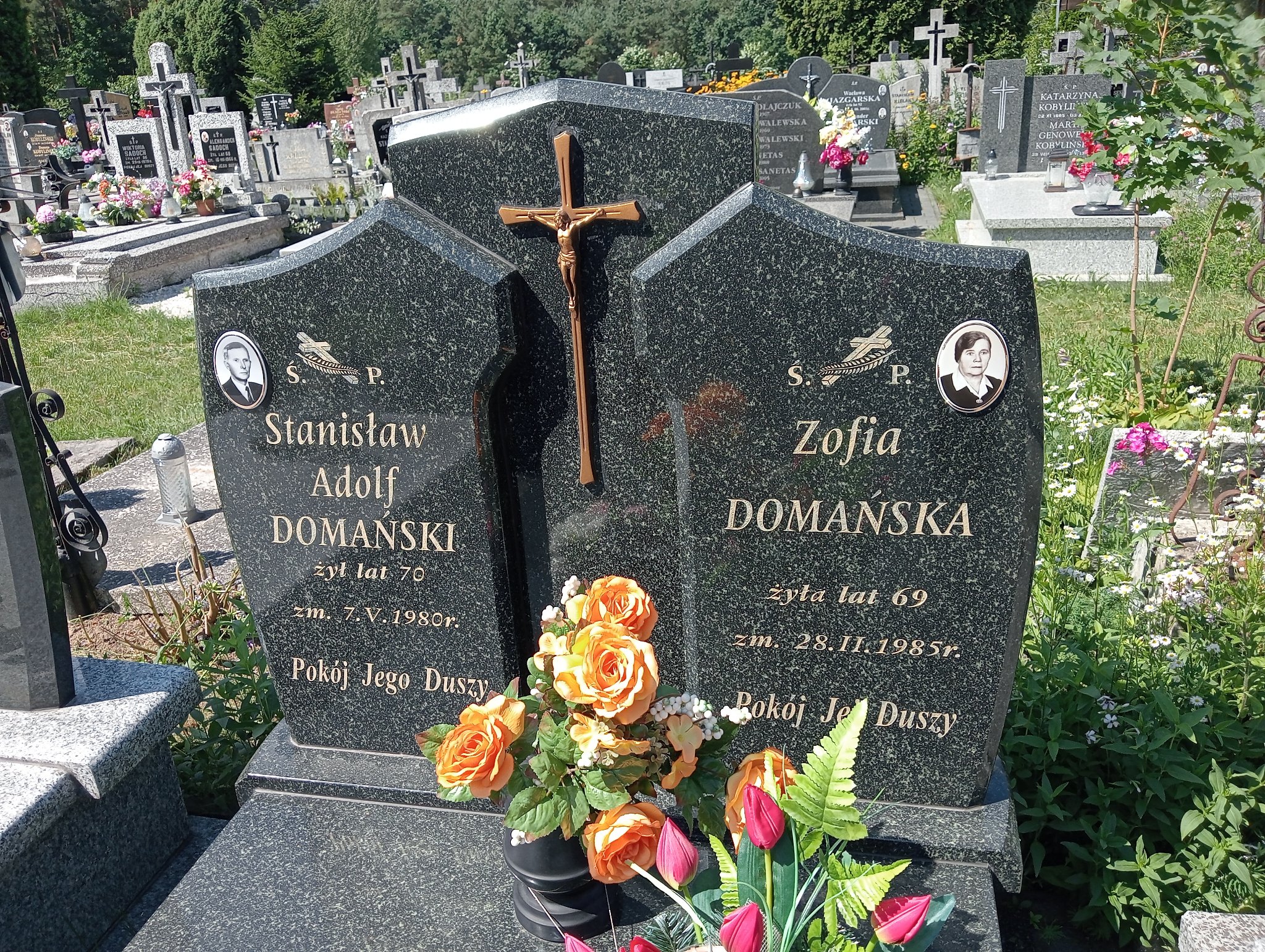 Zofia Domańska Mrozy - Grobonet - Wyszukiwarka osób pochowanych