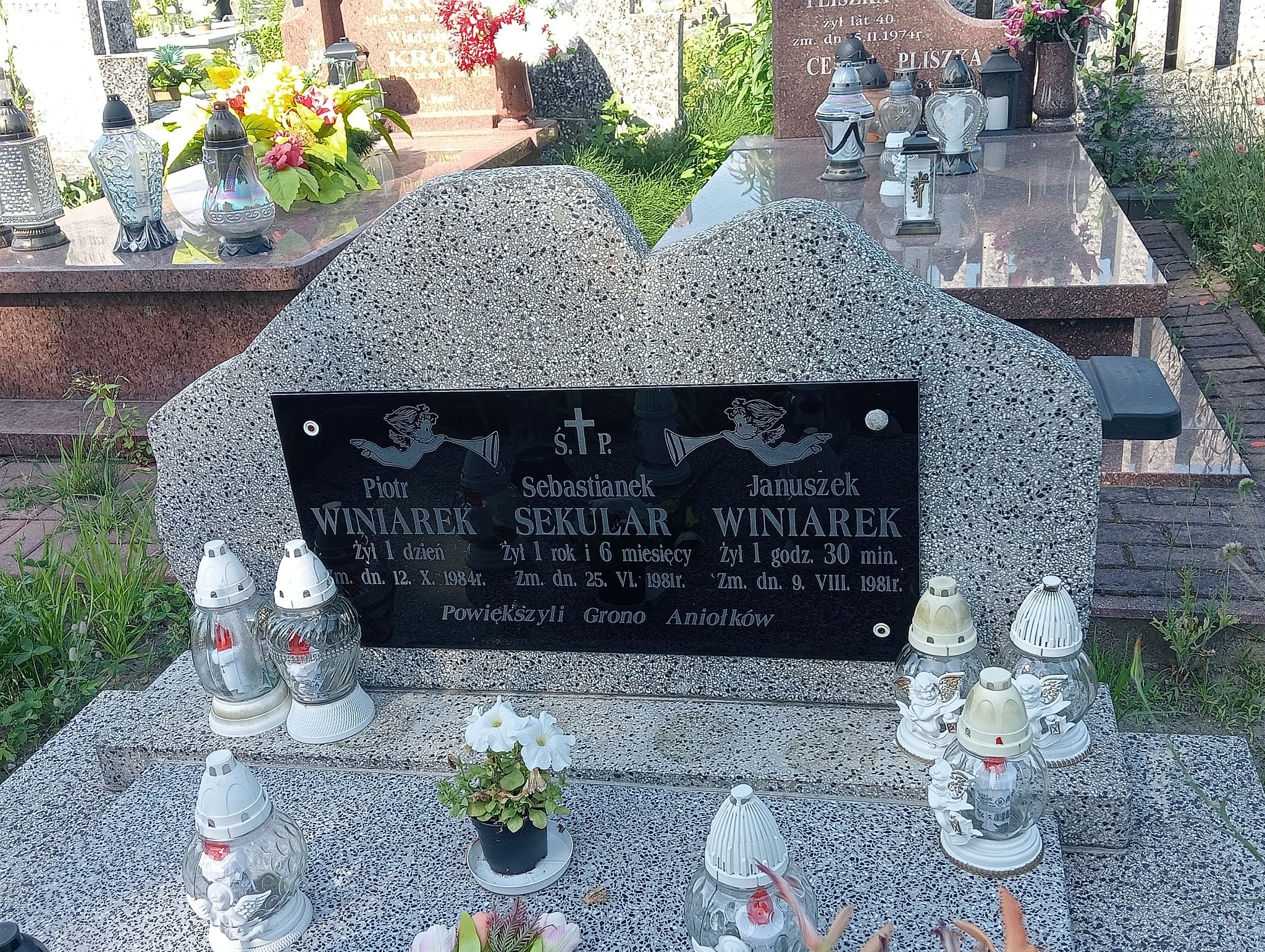 Piotr Winiarek Mrozy - Grobonet - Wyszukiwarka osób pochowanych
