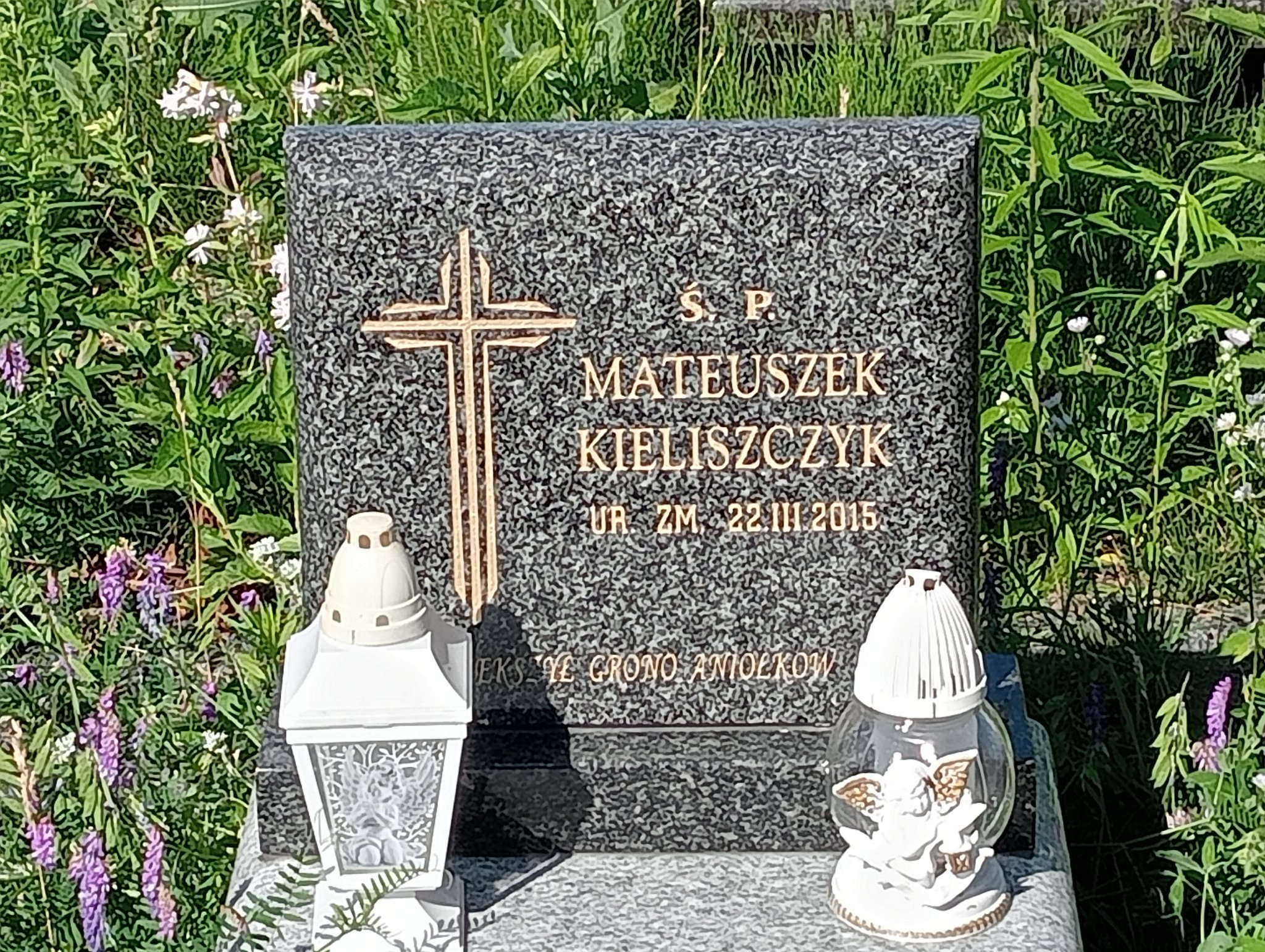 Tomasz Wronka Mrozy - Grobonet - Wyszukiwarka osób pochowanych