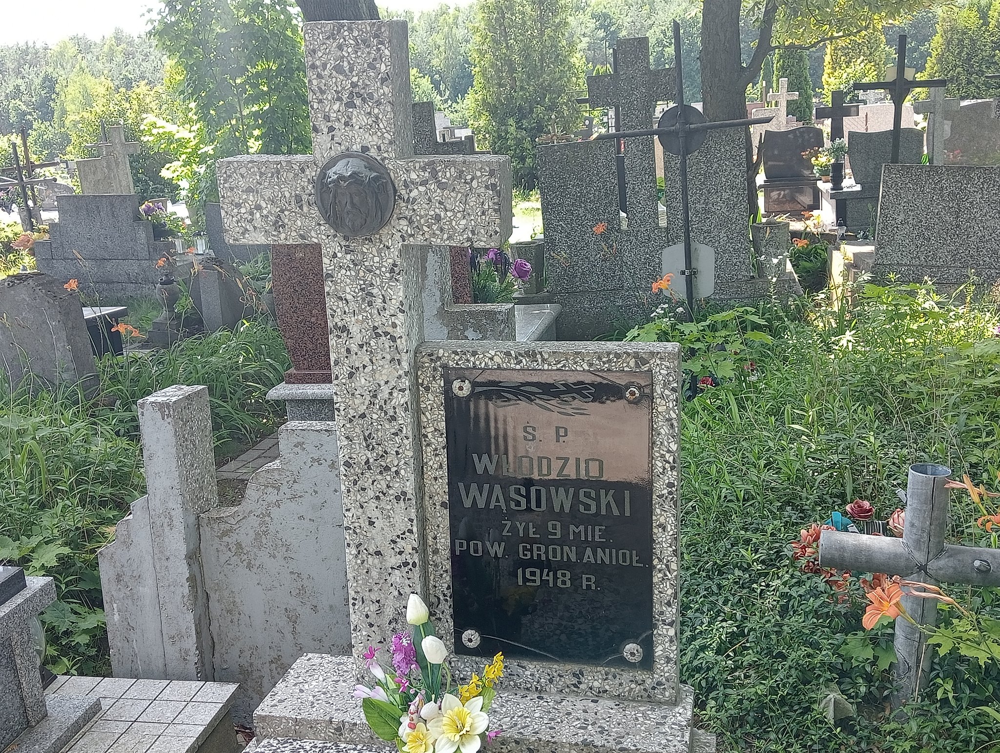 Włodzimierz Wąsowski Mrozy - Grobonet - Wyszukiwarka osób pochowanych