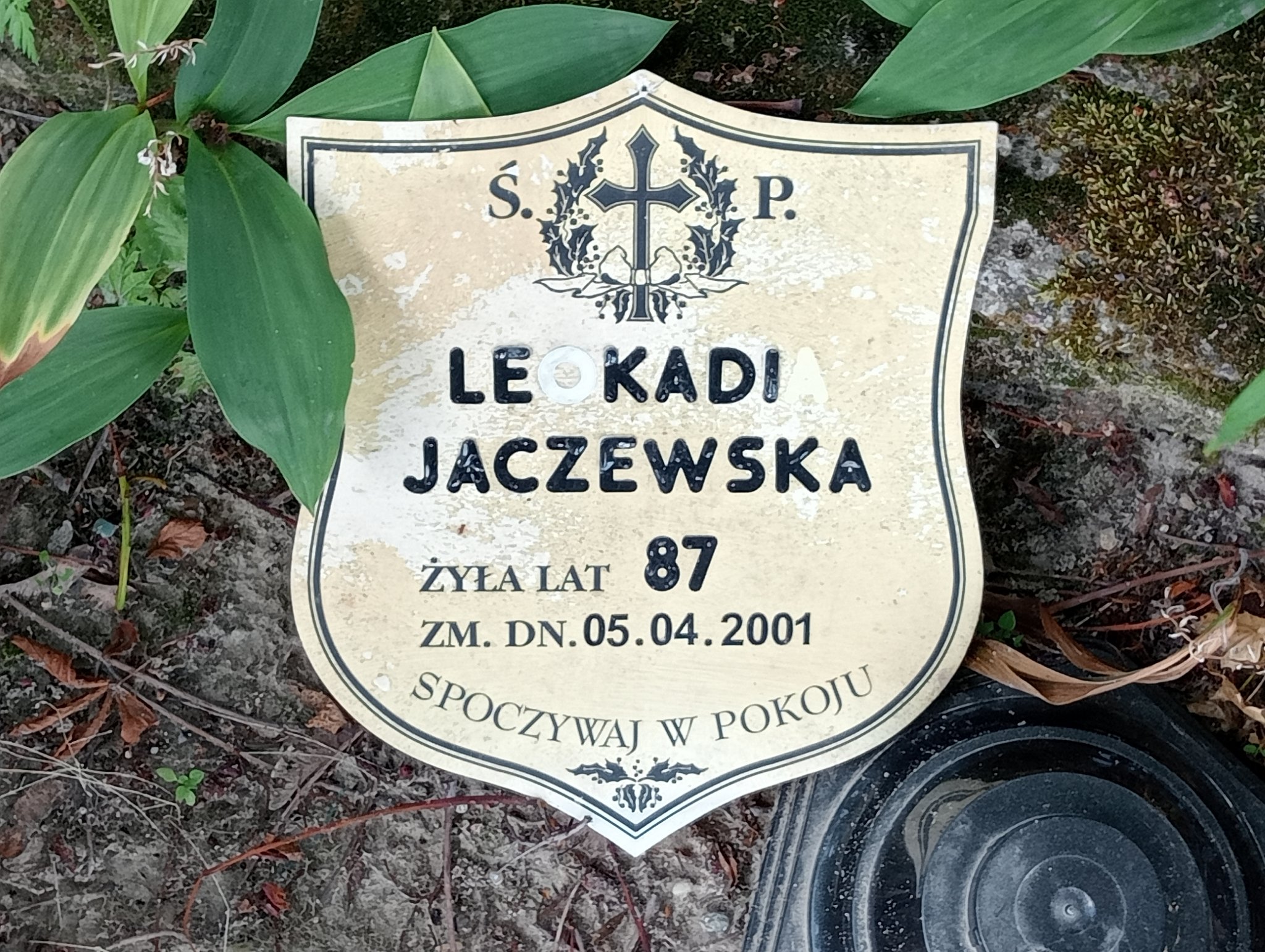 Leokadia Jaczewska Mrozy - Grobonet - Wyszukiwarka osób pochowanych