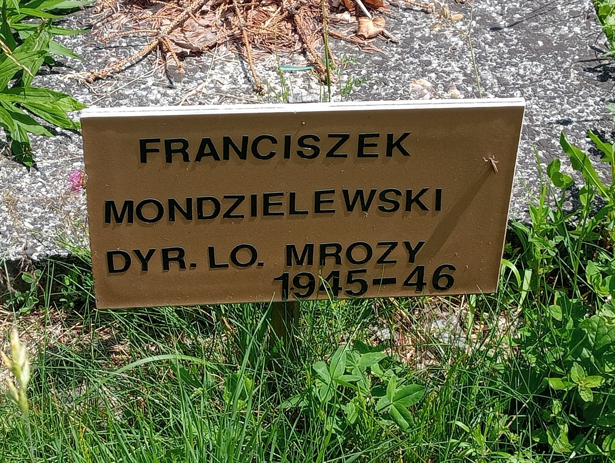 Zdjęcie grobu
