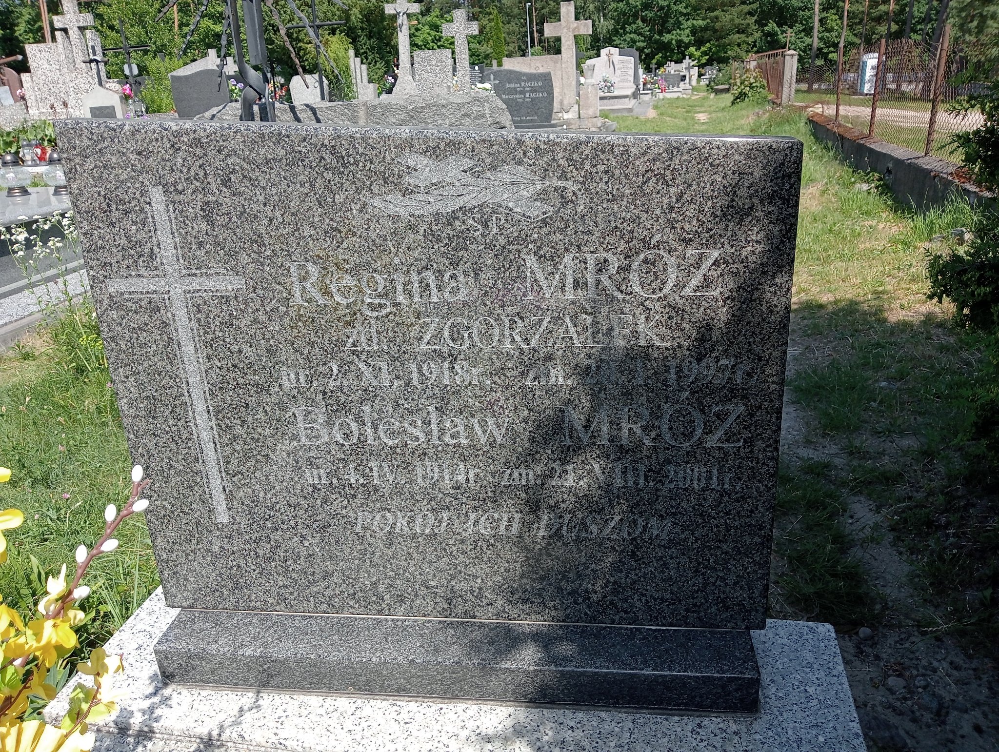 Bolesław Mróz 1914 Mrozy - Grobonet - Wyszukiwarka osób pochowanych