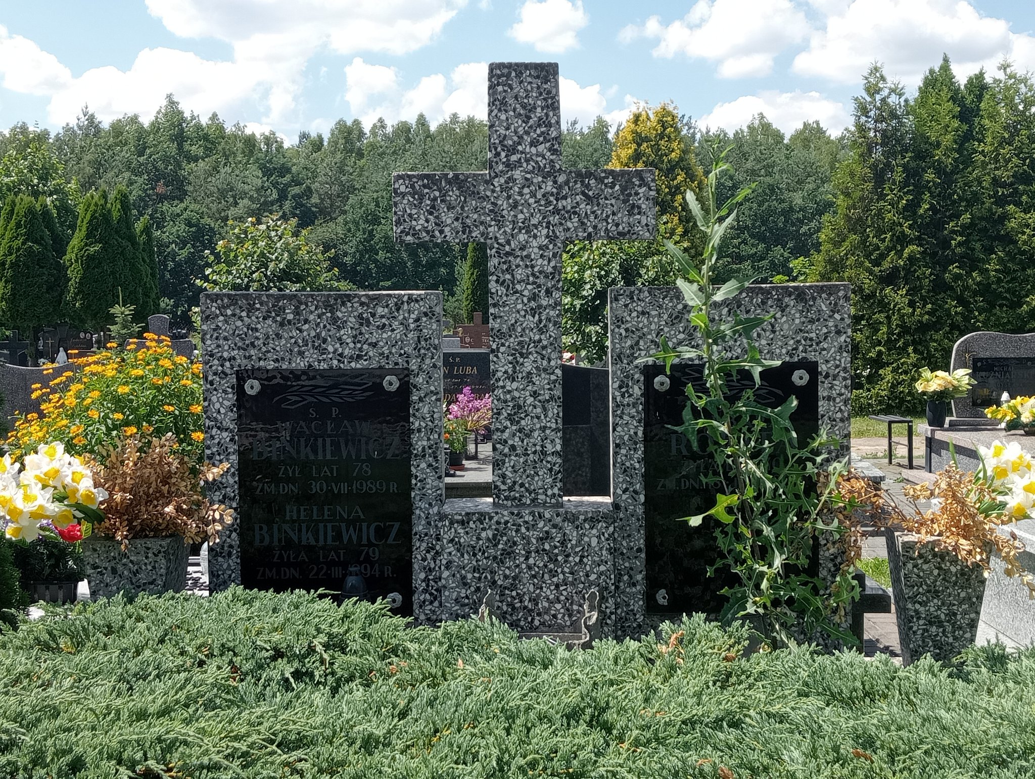 Barbara Rokita Mrozy - Grobonet - Wyszukiwarka osób pochowanych